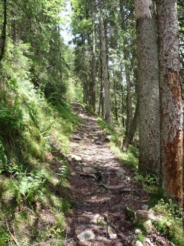 p1000188