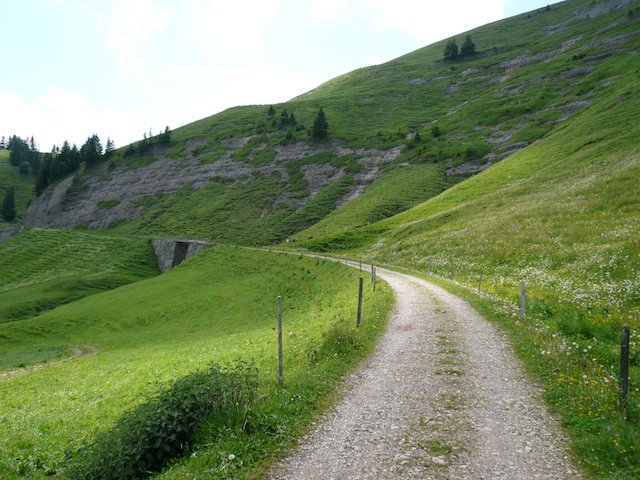 p1020319
