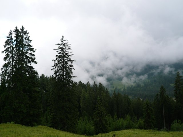 p1020445