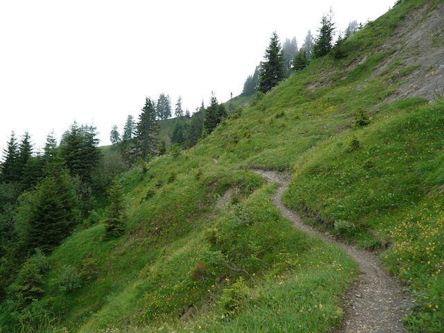 p1020451