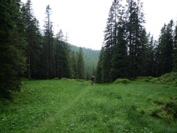 p1000184