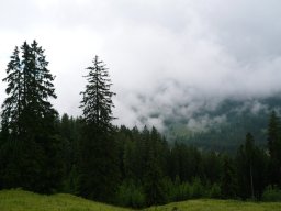 p1020445