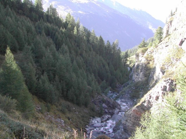 dscn2219