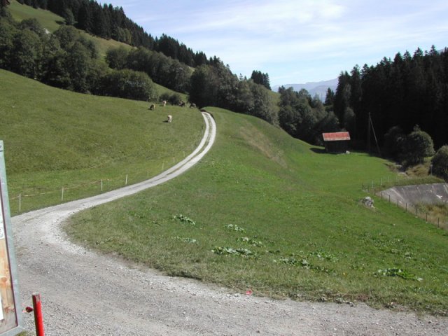 dscn2241