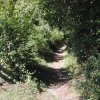 dscn2254
