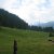 Val Schons / Runcalier 2005 - Tag 4