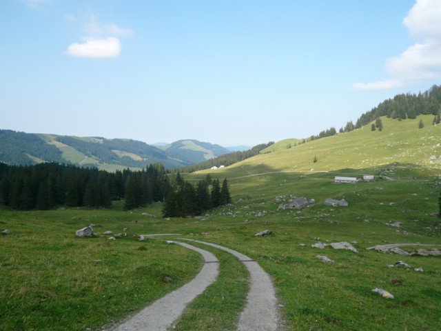 p1020973