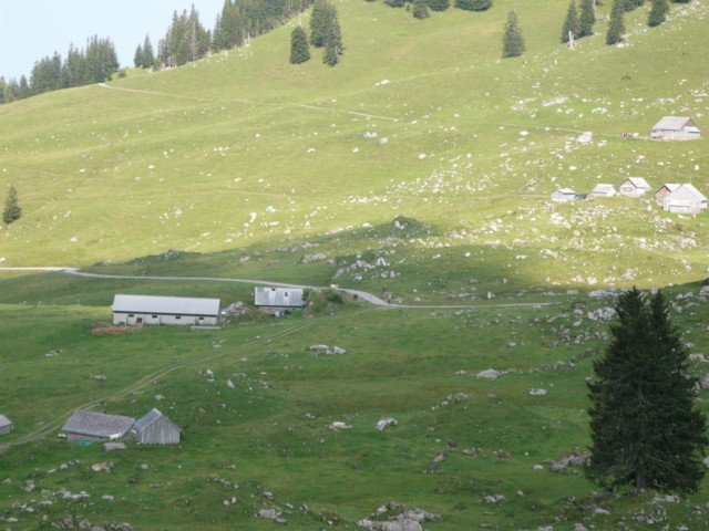 p1020974