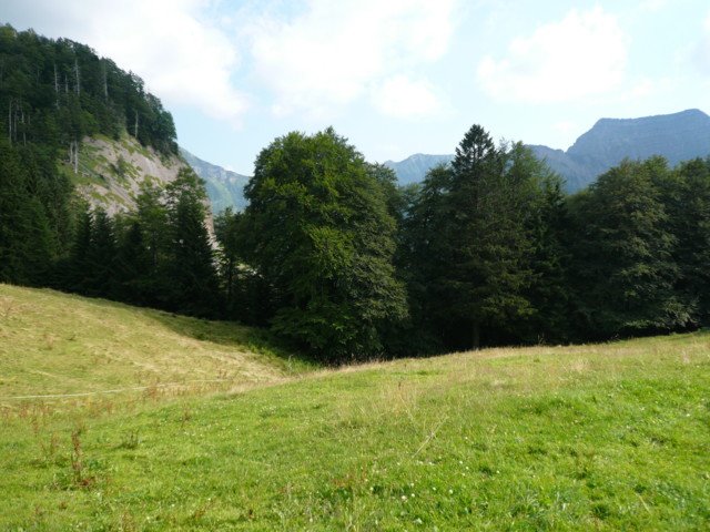 p1020979