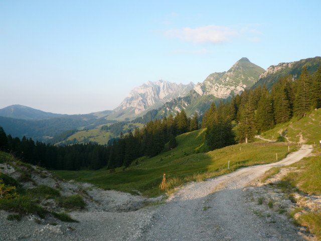 p1020990