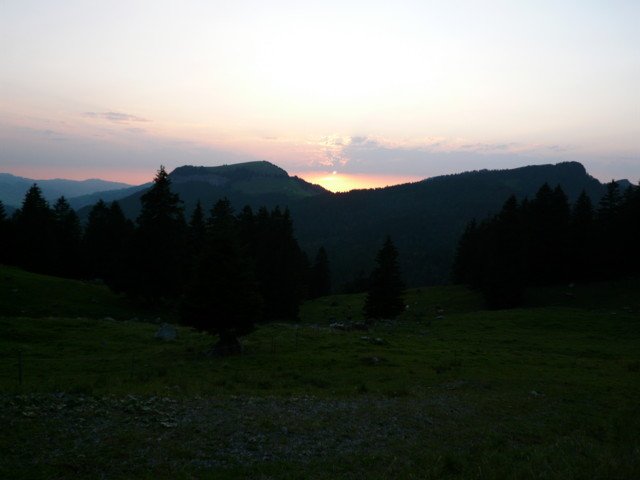 p1020993