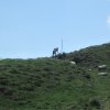 img_1695