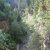 Alp Gren