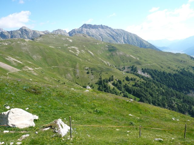 p1030833