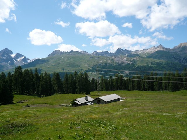 p1030882