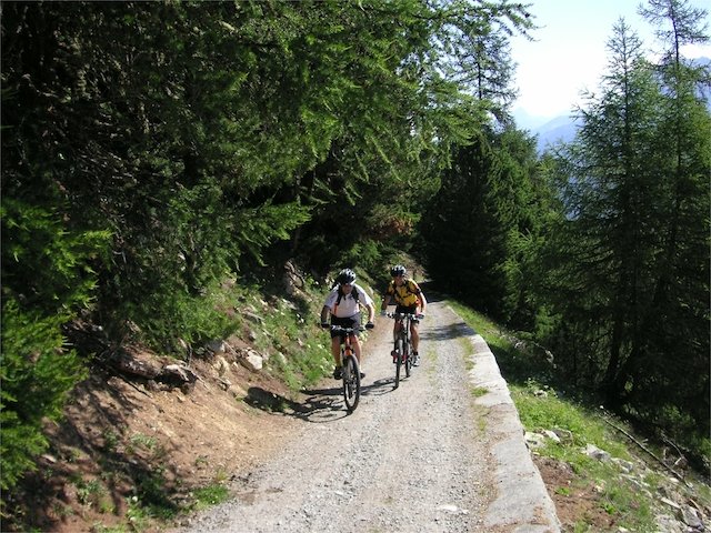 pict0006