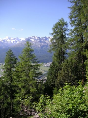 pict0010