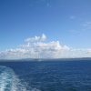 img_4428