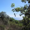 img_4480