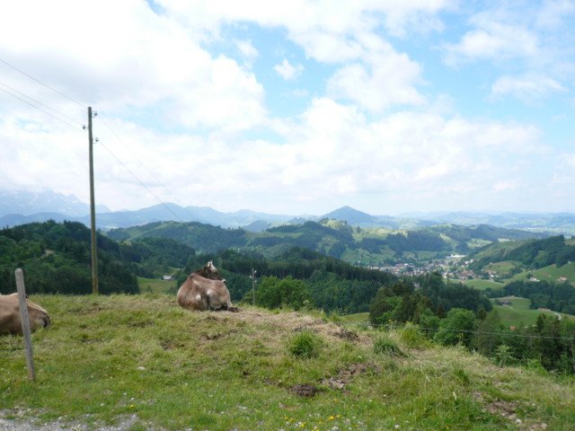 p1020899