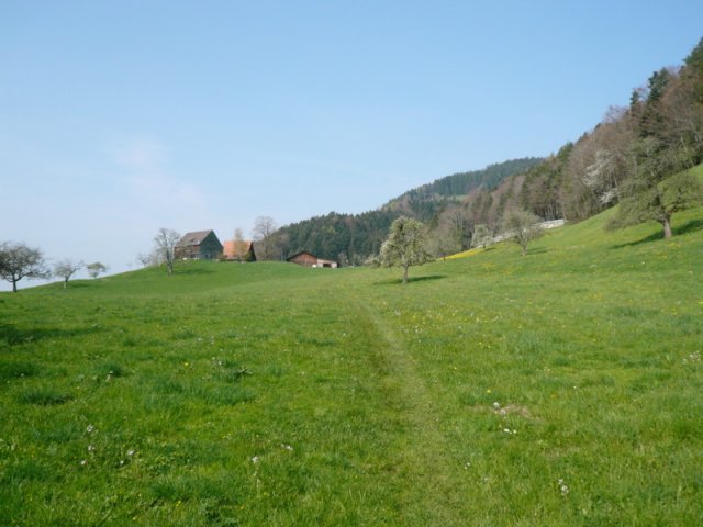 p1030395