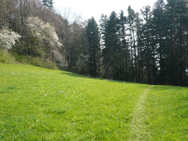 p1030396