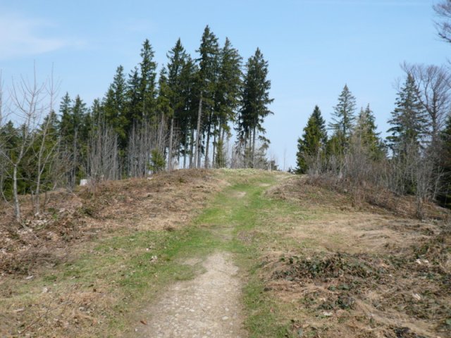p1030402