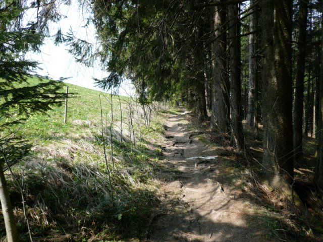 p1030403