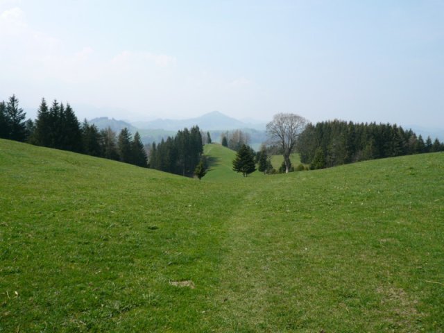 p1030406
