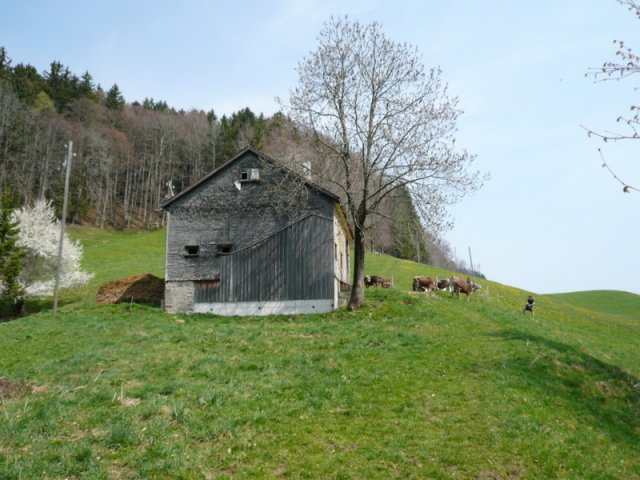 p1030407