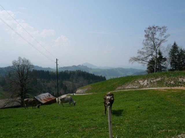 p1030408