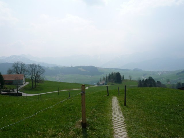 p1030410