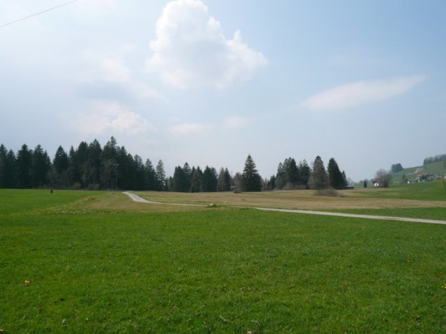 p1030411