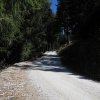 img_1915