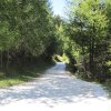 img_1917