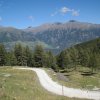 img_1921