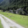 img_1933