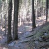 img_1944