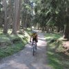 img_1951