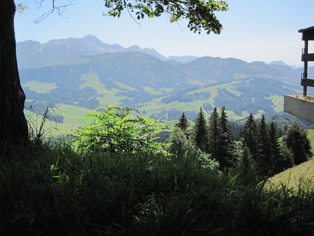 img_2210
