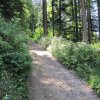 img_2205