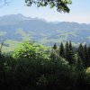 img_2210