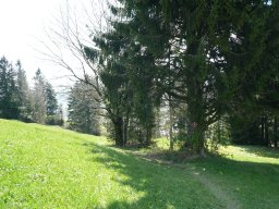 p1020869