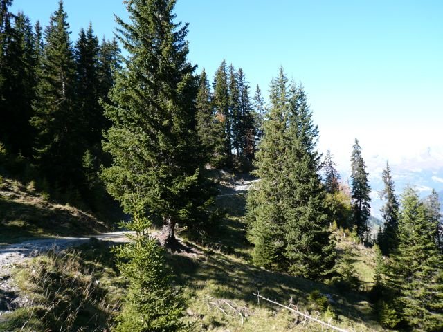 p1030300