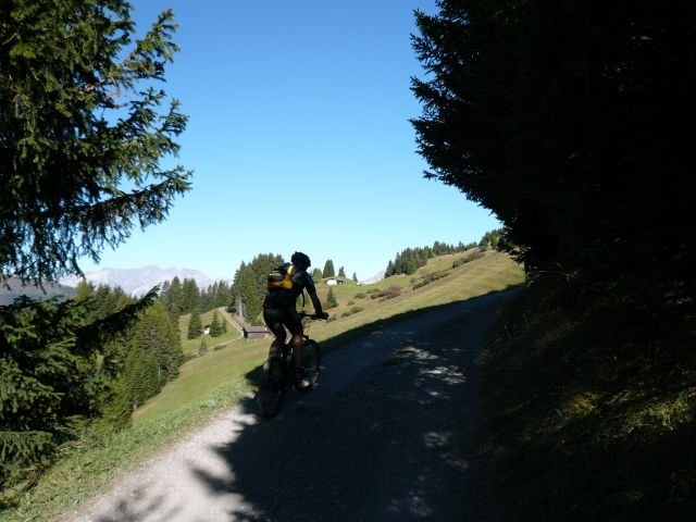 p1030282