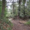 IMG_4234