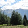 img_1784