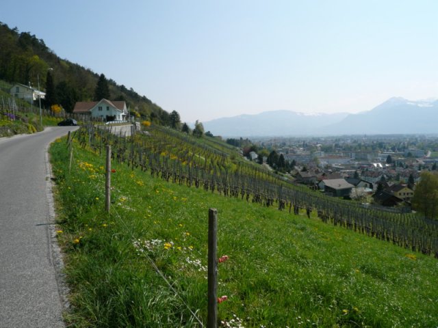 P1020854