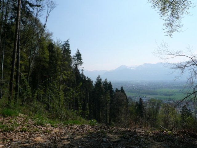 P1020855