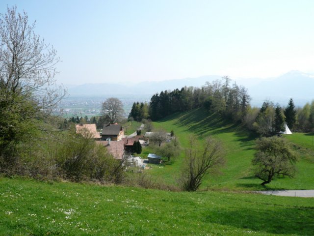 P1020856